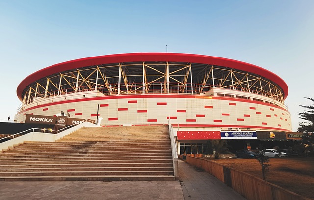 对未来的雄 对未来的雄