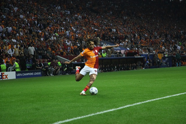 的出色发挥 的出色发挥