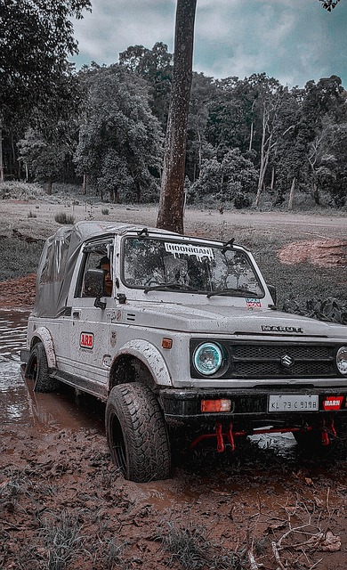 我们来看 我们来看