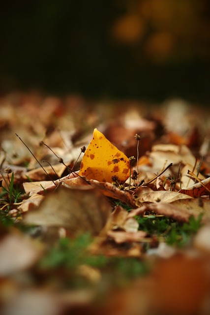 娱乐圈的名 娱乐圈的名
