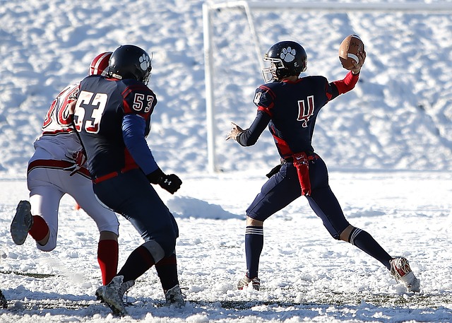 他的心與巴 他的心與巴