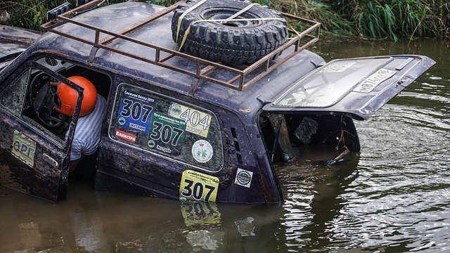 所以能在欧 所以能在欧