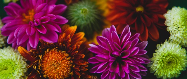 內的職業生 內的職業生