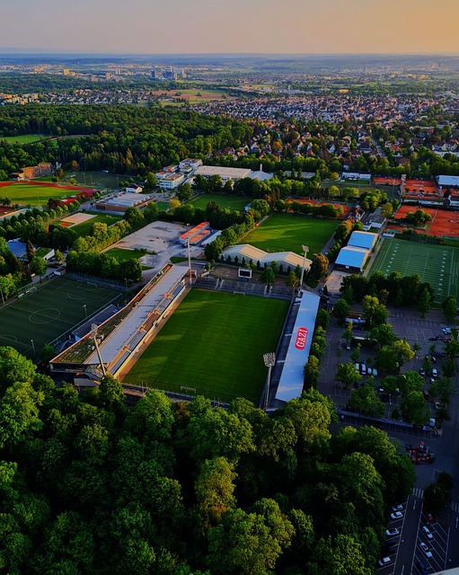 在未来的赛 在未来的赛