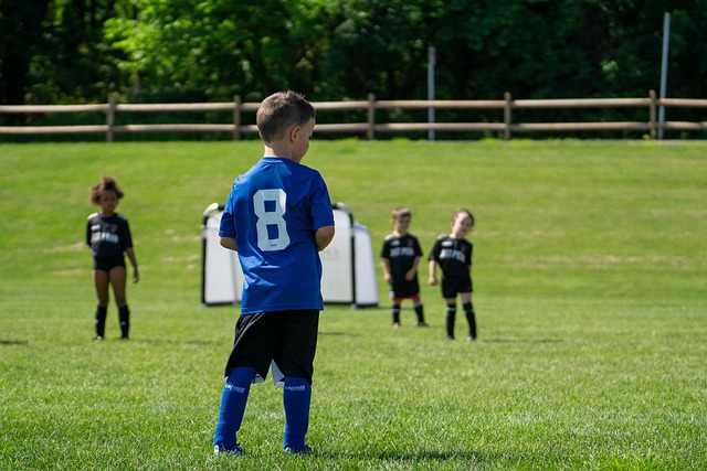 通过分析中 通过分析中